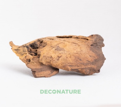 DECO NATURE MOPANE WOOD - Натуральная коряга африканского дерева мопани от 5 до 9 см